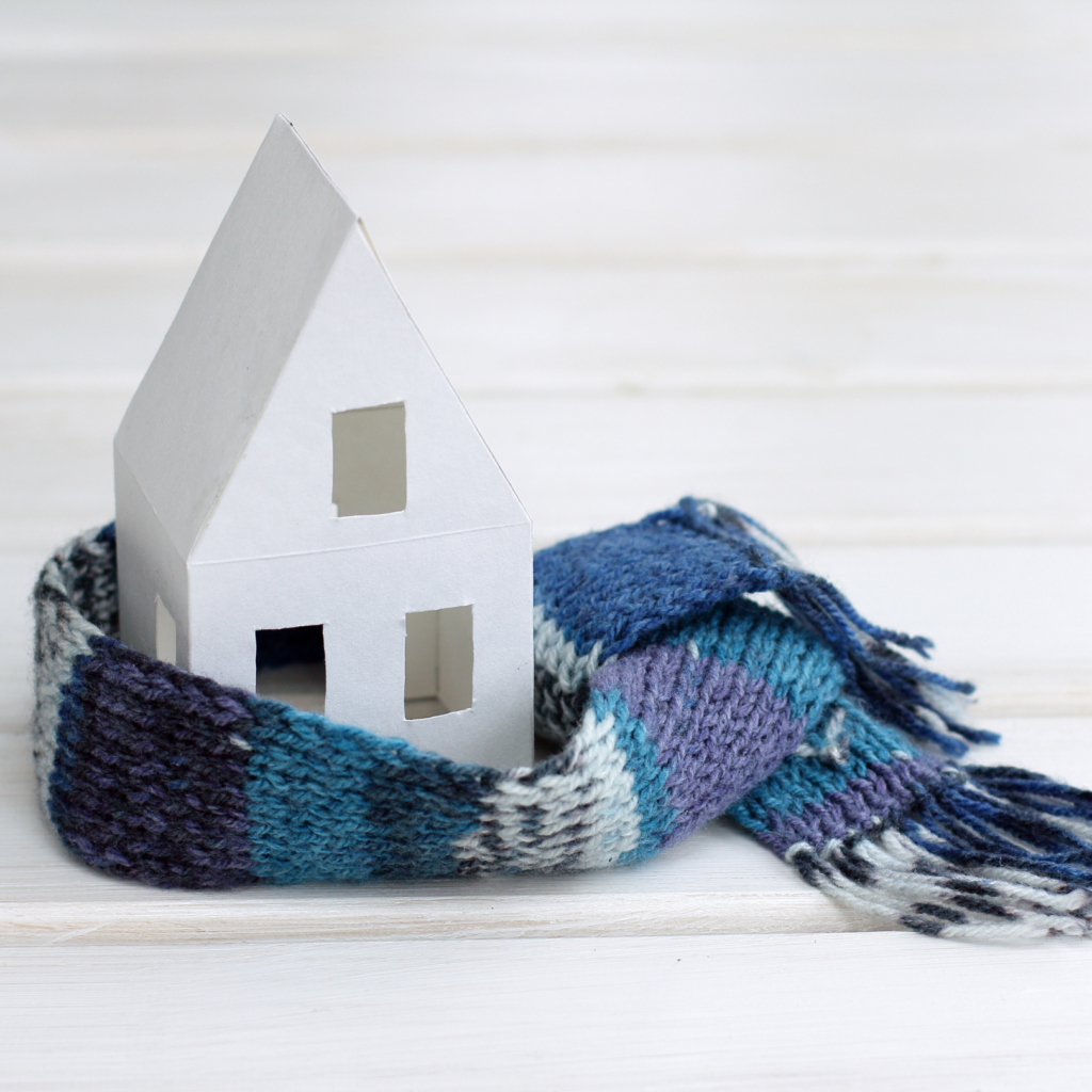 winter home protection